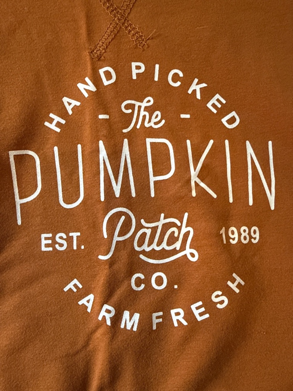 Kids Pumpkin Patch Graphic Sweatshirt - Rust Orange - Picture 4 of 4
